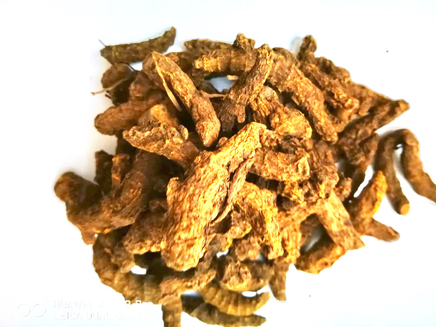 Curcumin